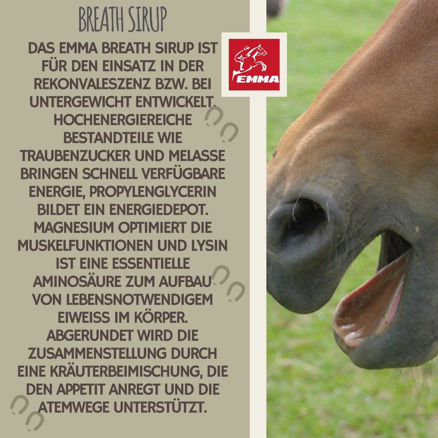 Hustensaft Bronchial Schleimlöser Pferd sirup 1L