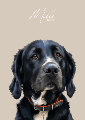 Personalisiertes Haustierportrait – Dein Lieblingsmoment als stilvolles Art Poster
