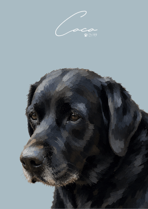 Personalisiertes Haustierportrait – Dein Lieblingsmoment als stilvolles Art Poster