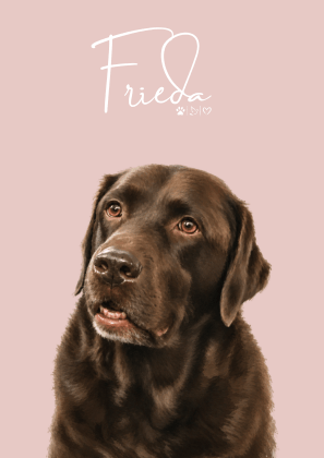 Personalisiertes Haustierportrait – Dein Lieblingsmoment als stilvolles Art Poster