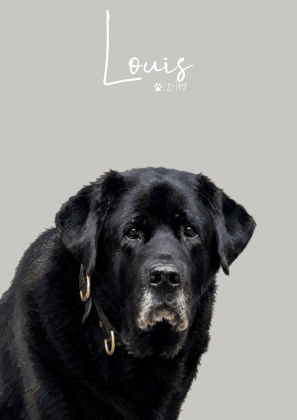Personalisiertes Haustierportrait – Dein Lieblingsmoment als stilvolles Art Poster