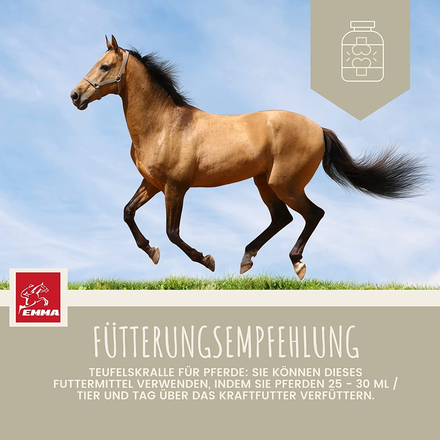 MSM-Pferd-Weidenrinde-Pferd-Teufelskralle-Pferde-Erste-Hilfe-Set-Gelenke Pferde-MSM-Equi-P-Booster-Kollagen-MSM-Futter-Pferd-Glucosamin-Chondroitin-hochdosiert