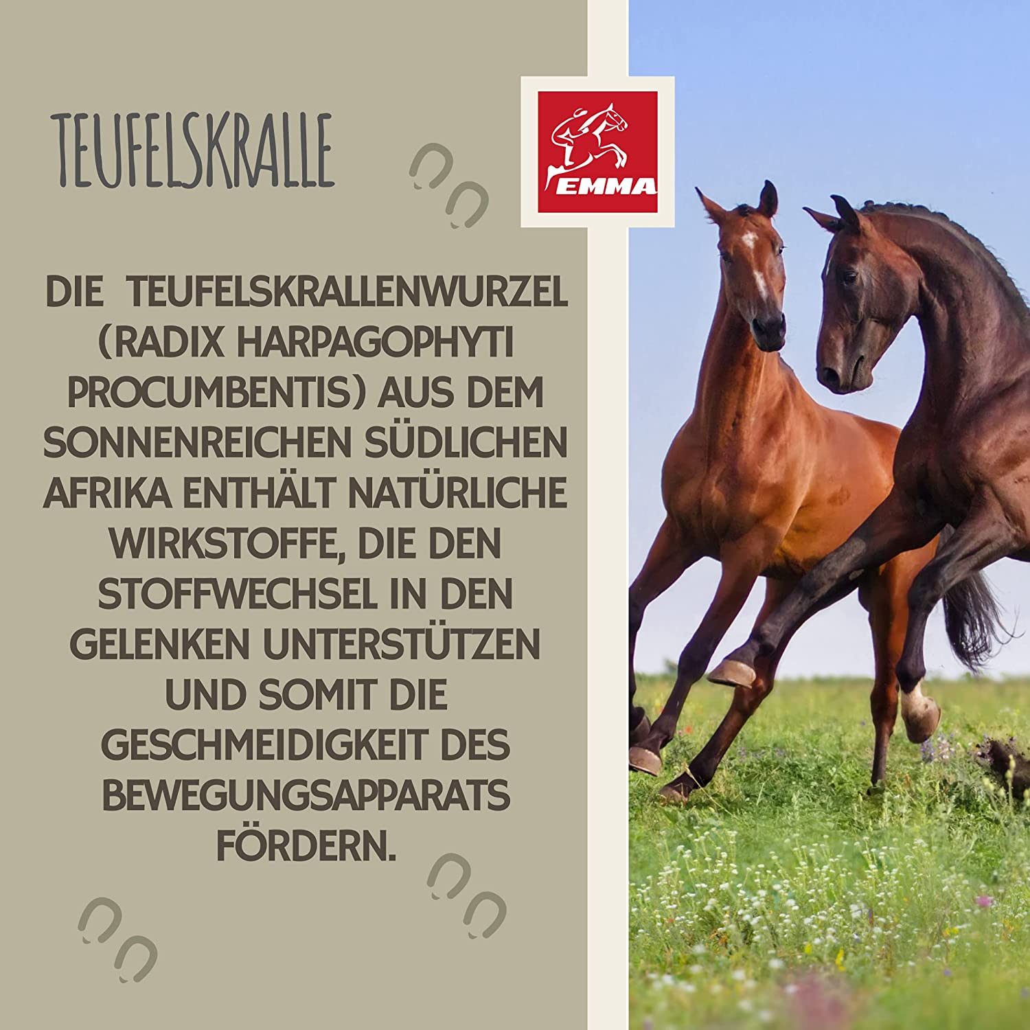 MSM-Pferd-Weidenrinde-Pferd-Teufelskralle-Pferde-Erste-Hilfe-Set-Gelenke Pferde-MSM-Equi-P-Booster-Kollagen-MSM-Futter-Pferd-Glucosamin-Chondroitin-hochdosiert