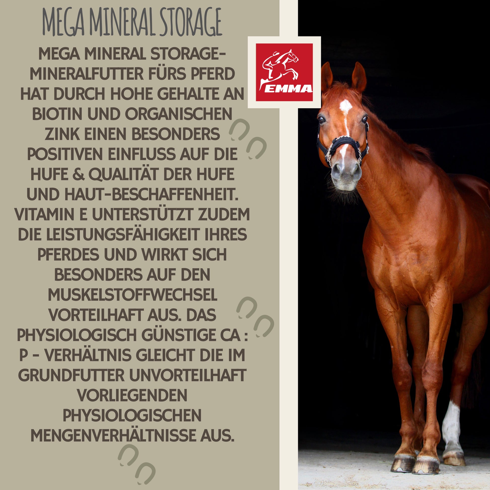 Mineralfutter Vitamin b komplex Biotin Pferd 1KG