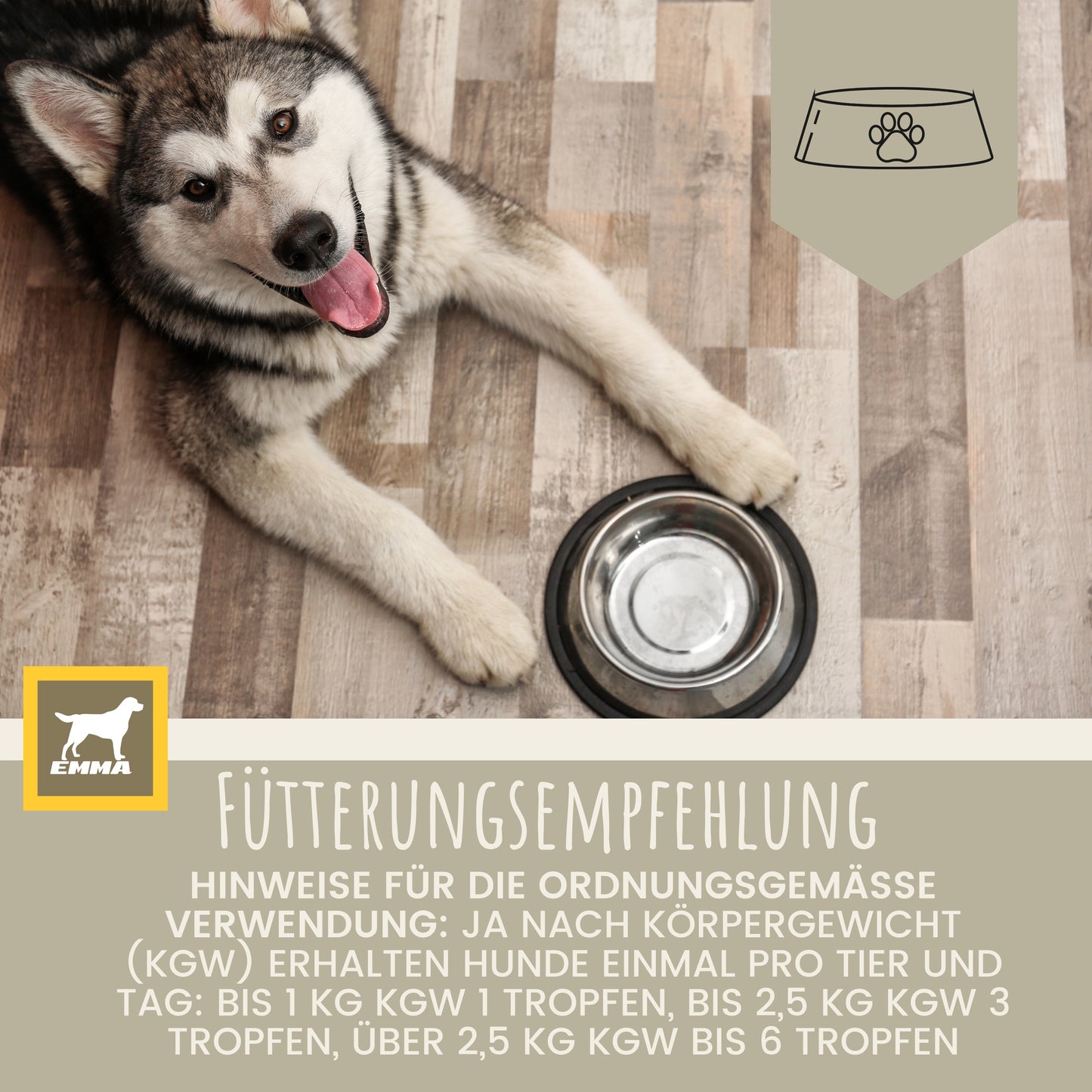 Multi-Vitamin-Tropfen-Vitamin b-komplex-hund-100ml