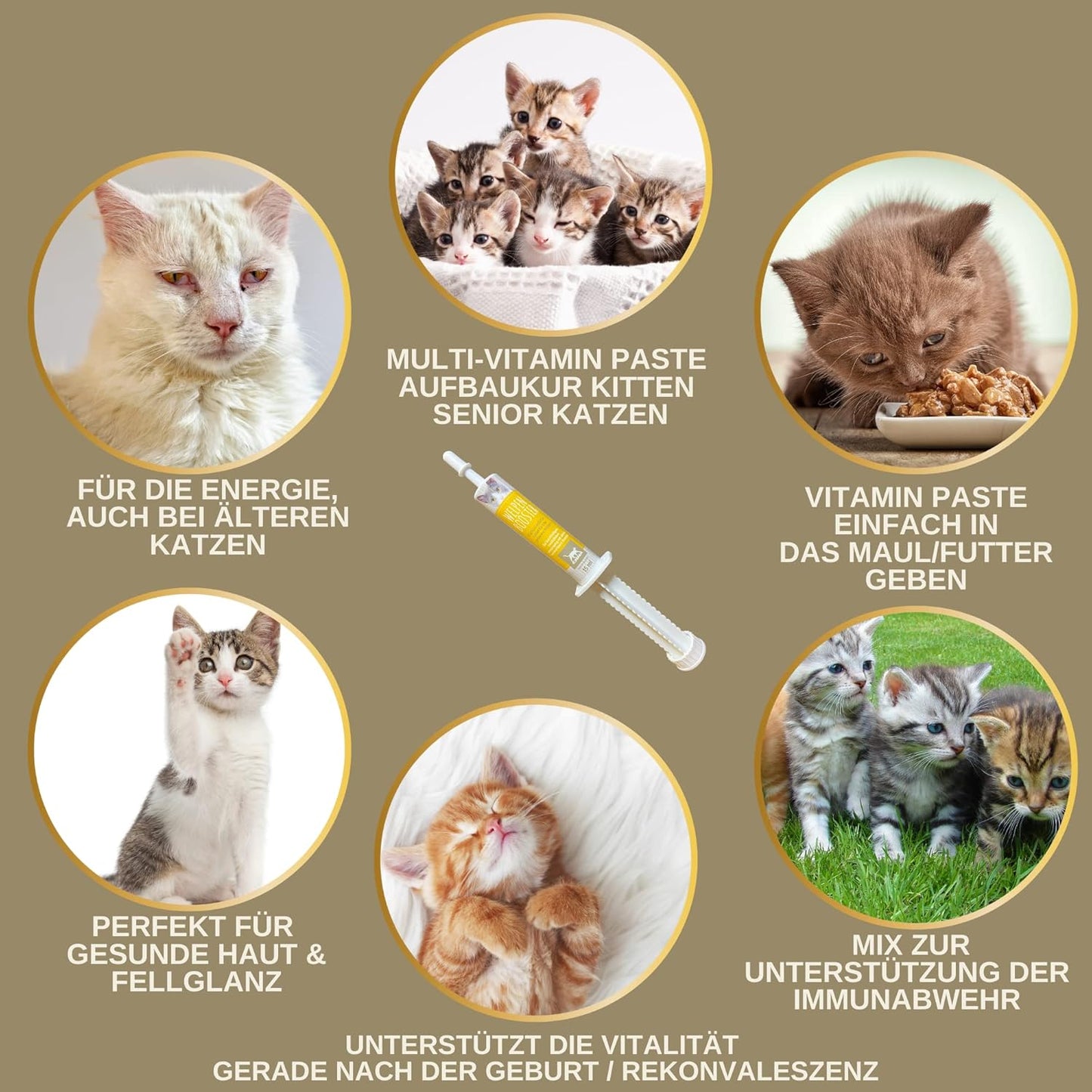 Multi Vitamine für Katzen & Vitaminpaste