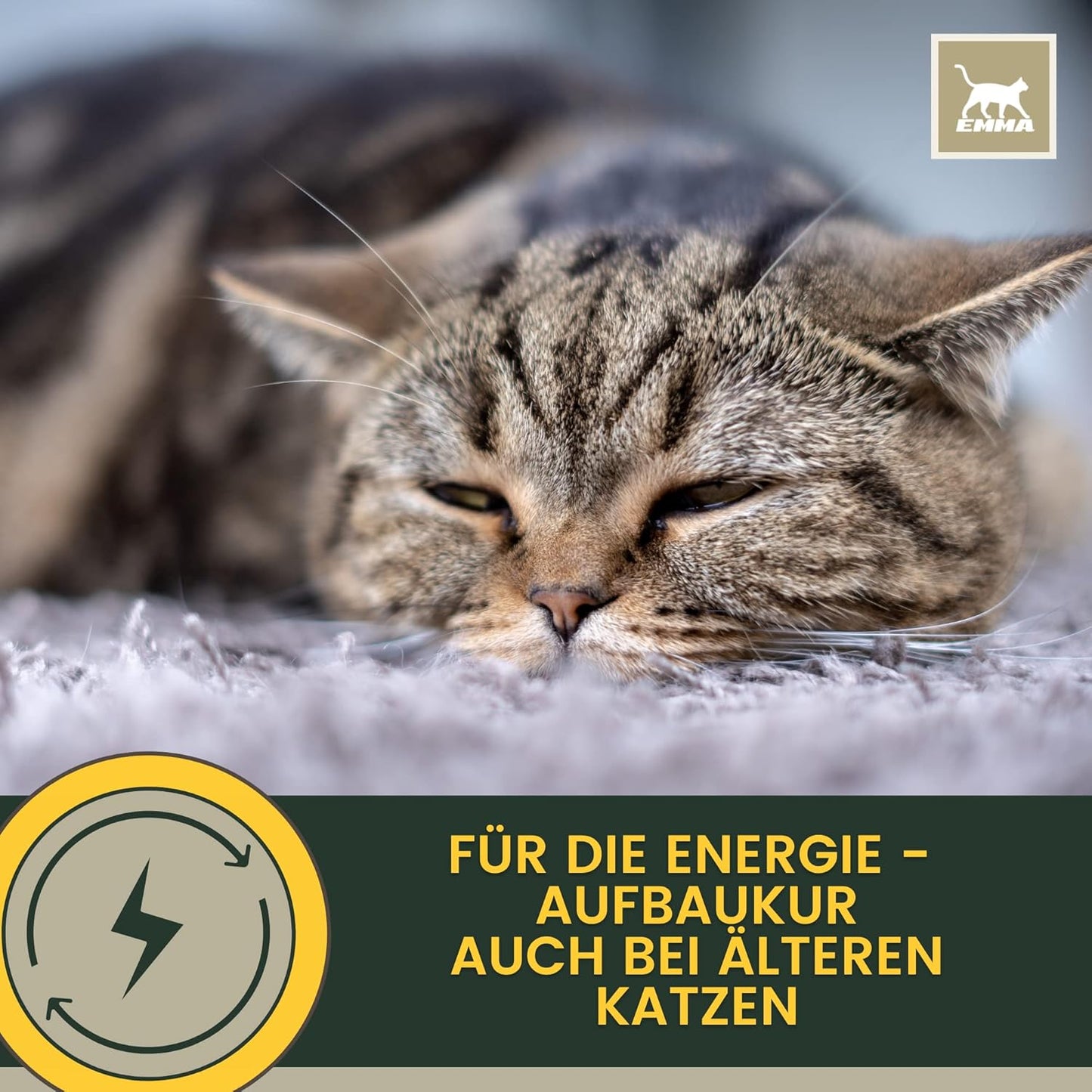 Multi Vitamine für Katzen & Vitaminpaste