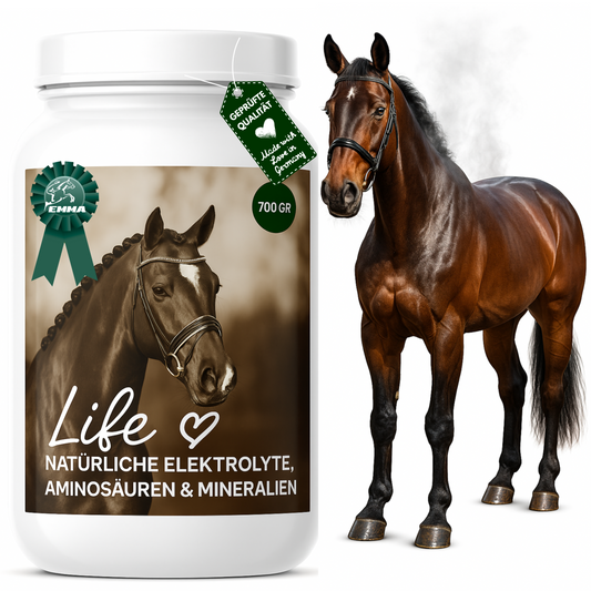 Elektrolyte & Mineralien Pferd, Energie & Gesundheit für`s Pferd, Ergänzungsfutter 700g