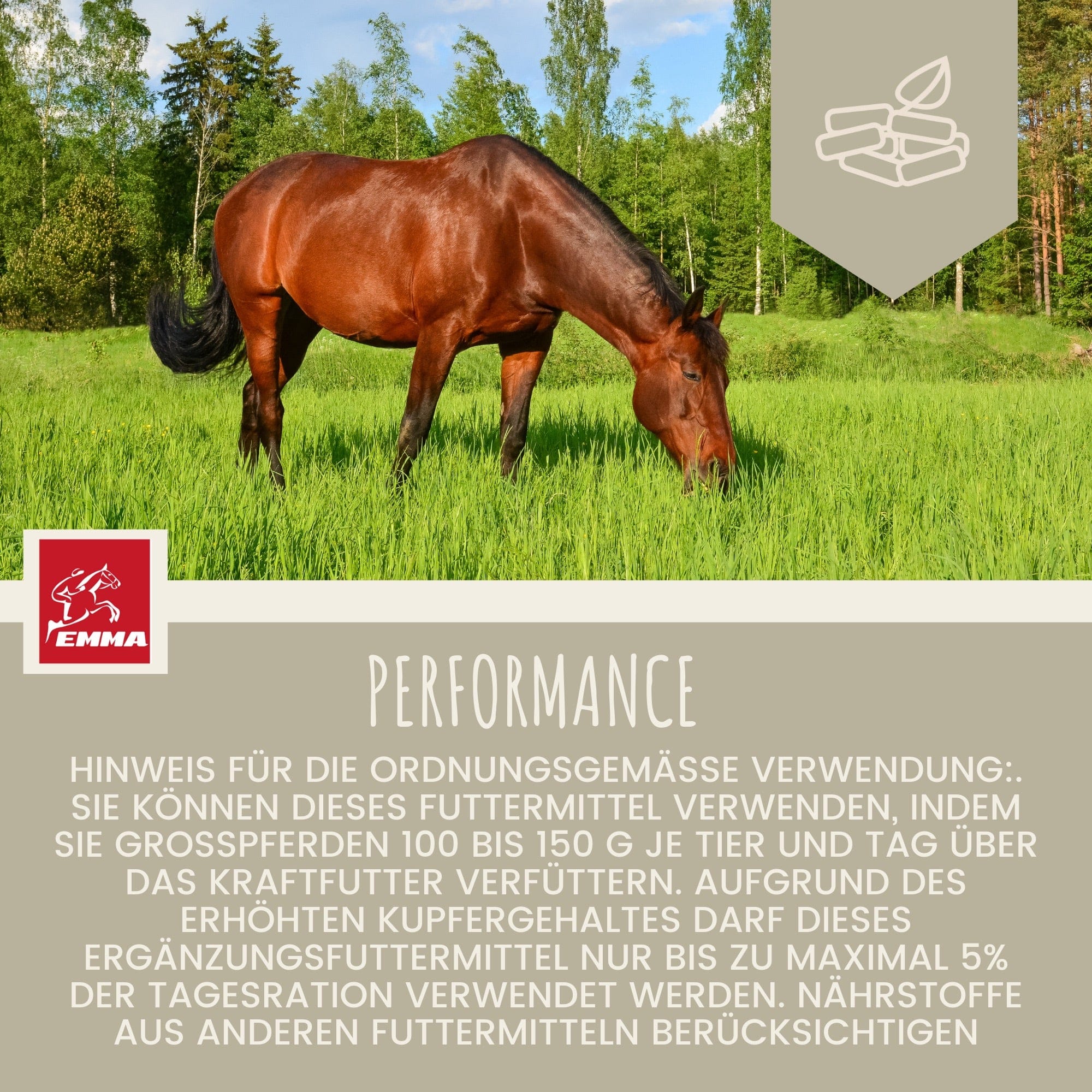 EMMA Pferd Aufbaufutter + Amino Booster – 6 Kg, Mit Sojaprotein, Vitaminen & Aminosäuren Für Muskelaufbau & Vitalität