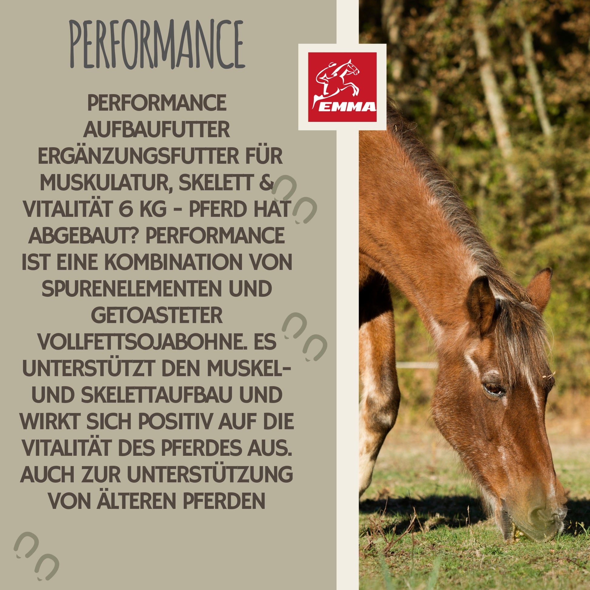 Sojaschrot Aufbaufutter Muskelaufbau Pferd 6Kg