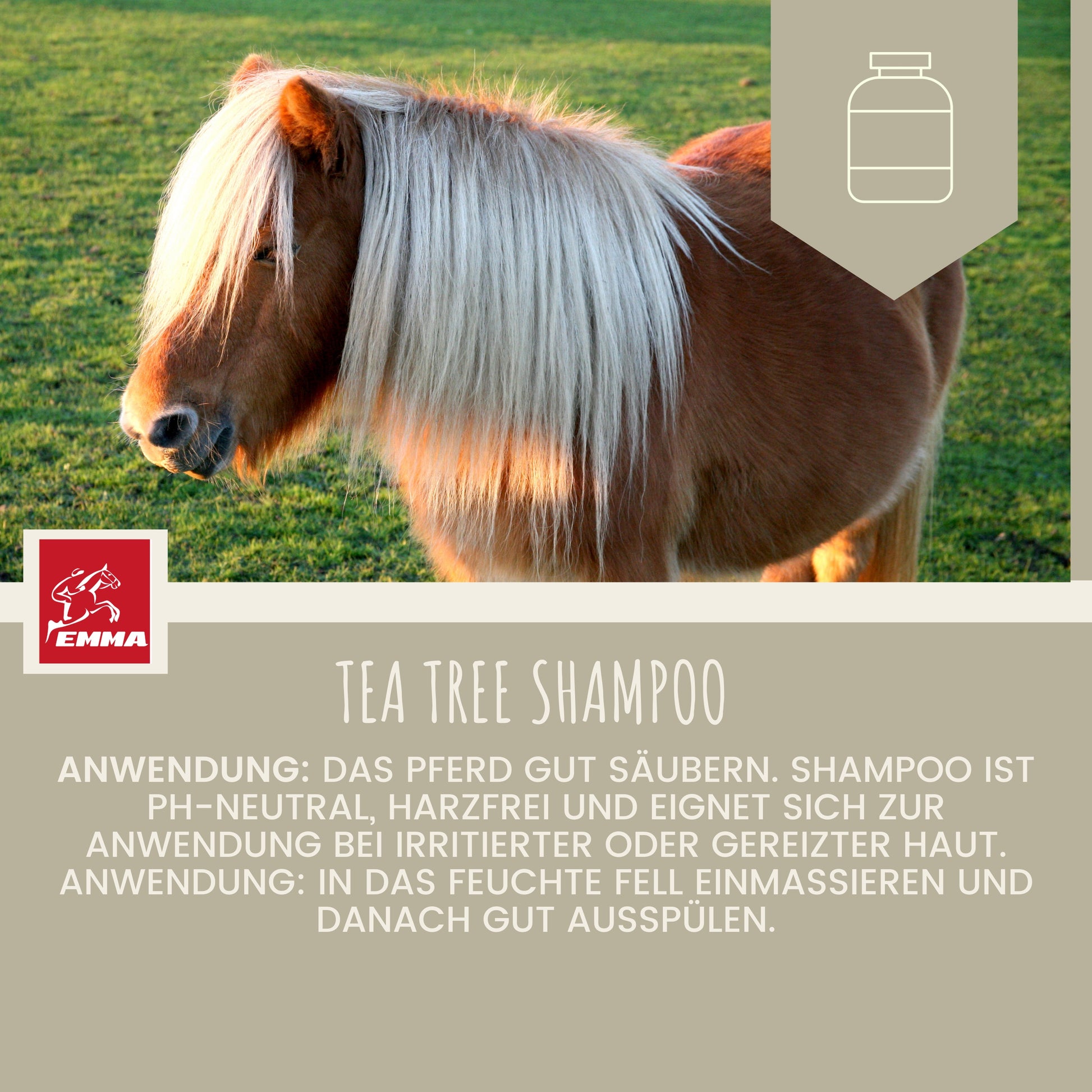 Teebaumöl Shampoo JUCKREIZ PFERD Hund 500ml