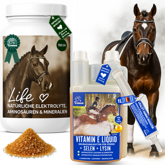 ENERGIE FÜR DAS PFERD I SPARSET I Life Mineralien & Elektrolyte, Vitamin E & Vitality Aminosäure Boo