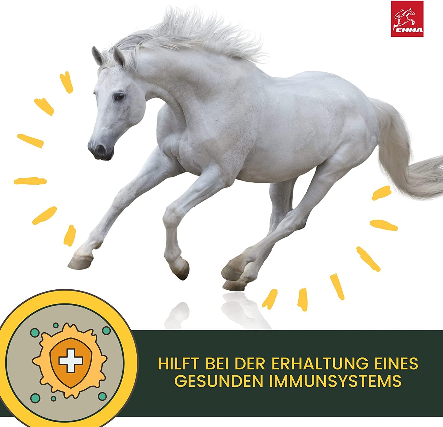 Leinöl Pferde Hunde Kanister Barf Öl I Leinöl Pferd Omega 3 Öl I 3 6 Fettsäuren I kaltgepresst 100% I Leinsamenöl I glänzendes Fell Haut Verdauung Fellwechsel Leinöl Hunde Pferde Katzen 2,5L1.jpg