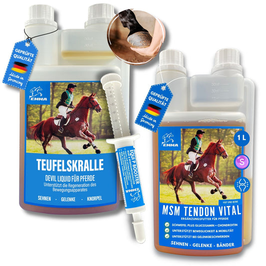 MSM-Pferd-Weidenrinde-Pferd-Teufelskralle-Pferde-Erste-Hilfe-Set-Gelenke Pferde-MSM-Equi-P-Booster-Kollagen-MSM-Futter-Pferd-Glucosamin-Chondroitin-hochdosiert