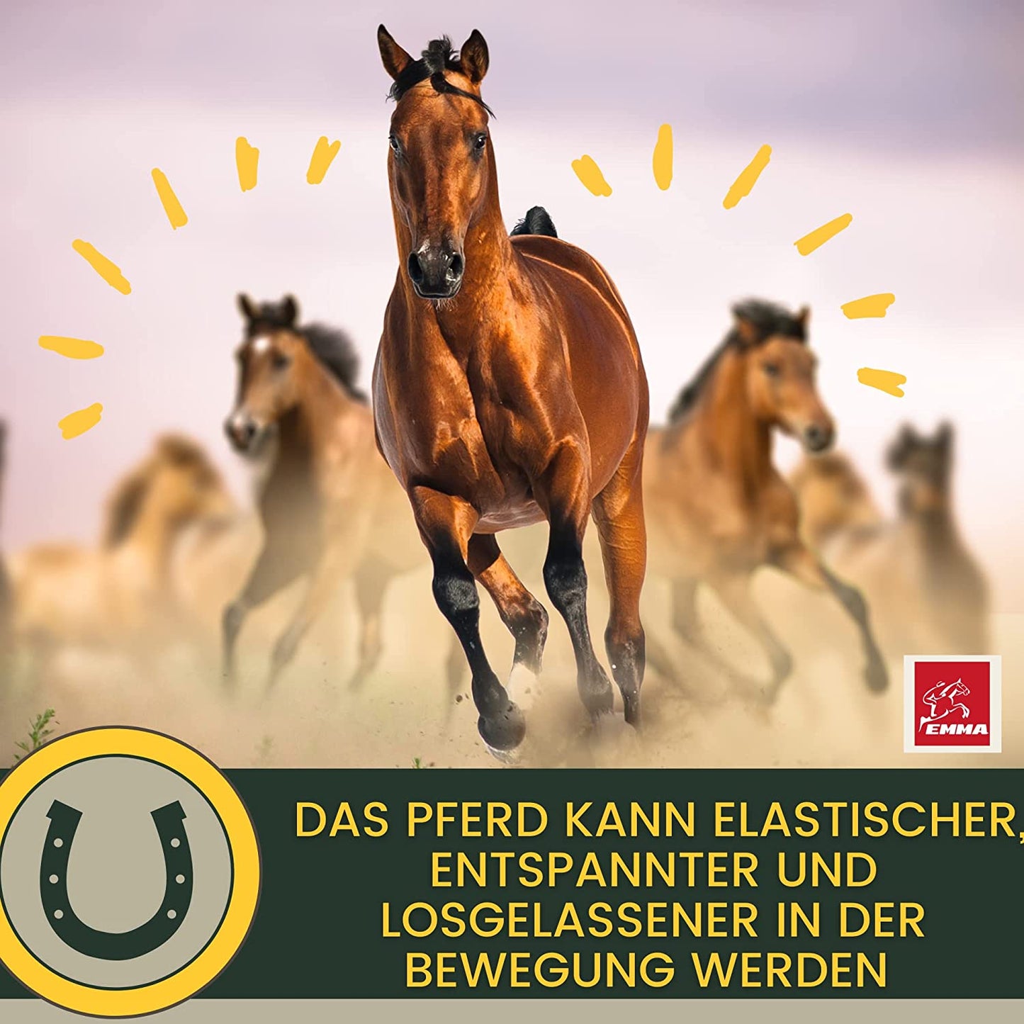 Equi P Booster für Pferde, MSM & Weidenrinde für den Bewegungsapparate 3*30ml