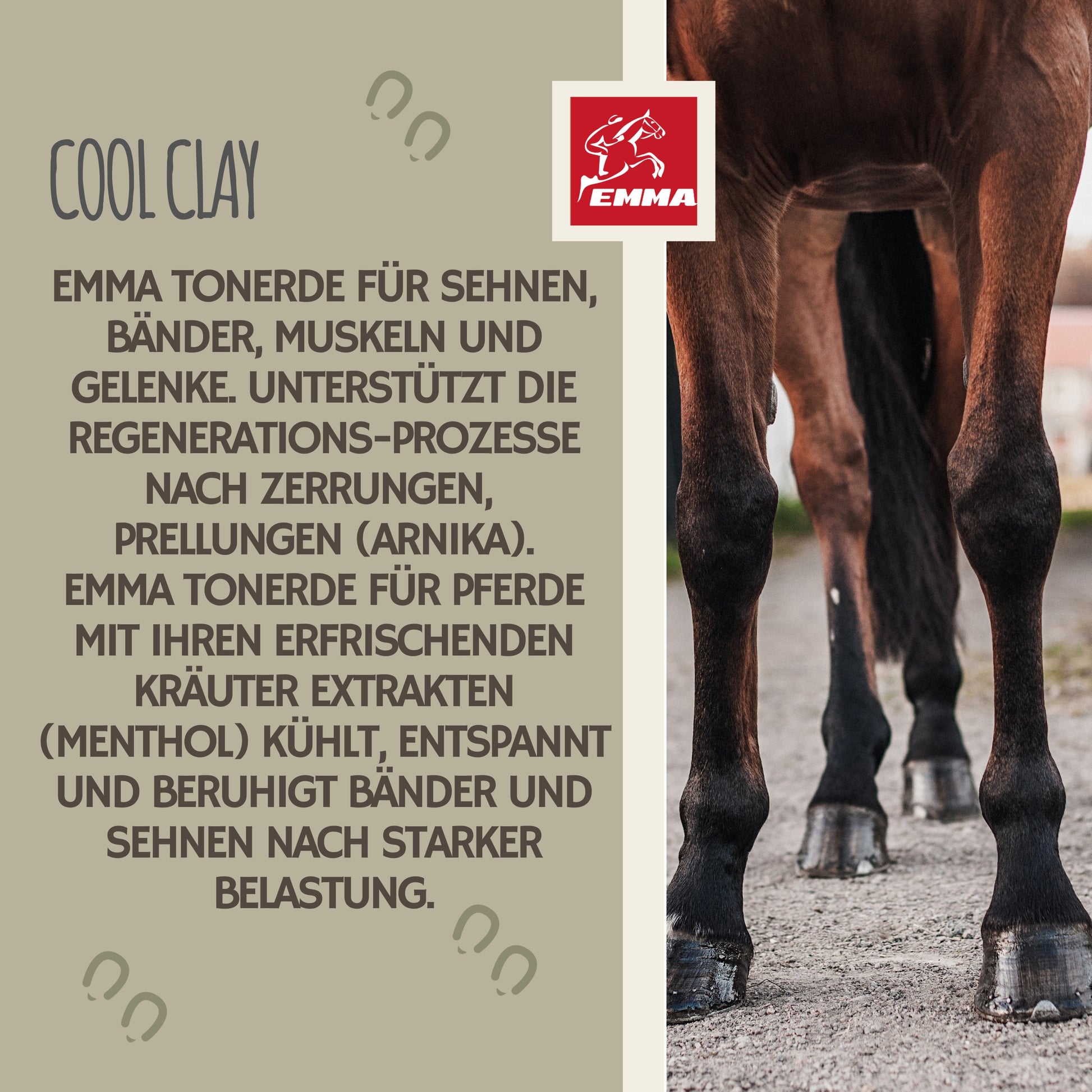 essigsaure-tonerde-kühlgel-pferd-Set