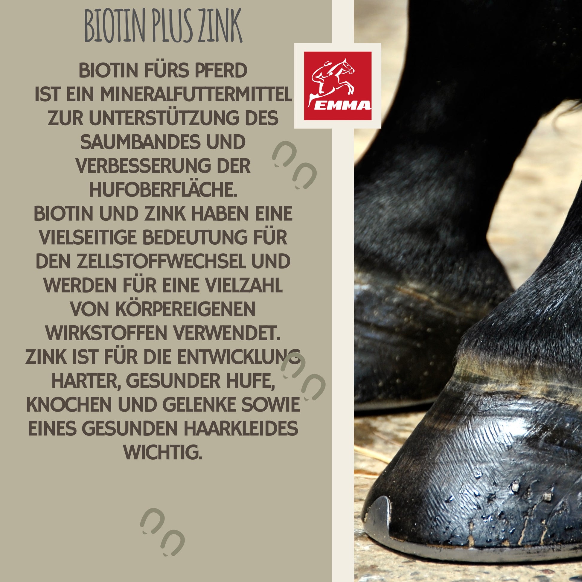 hufpflege strahlpflege huföl biotin pferde