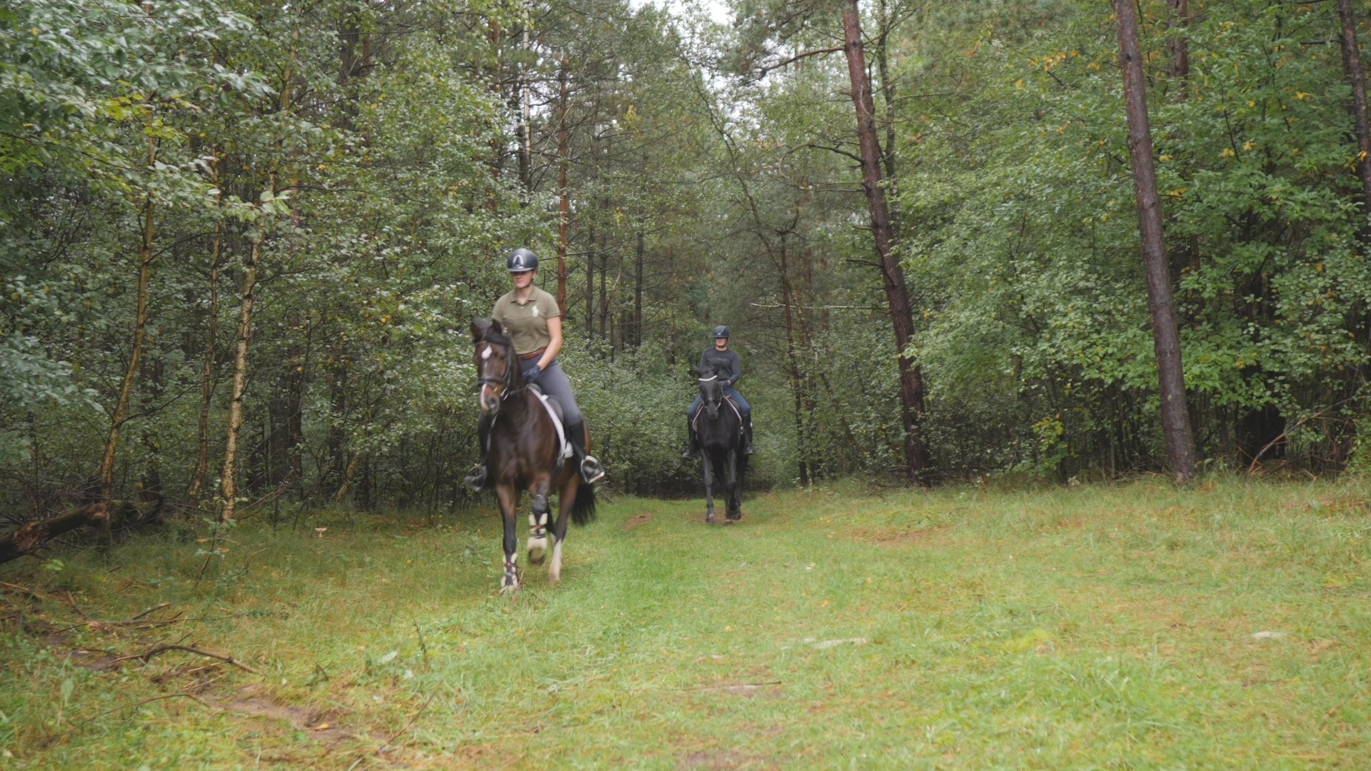 Video laden: 