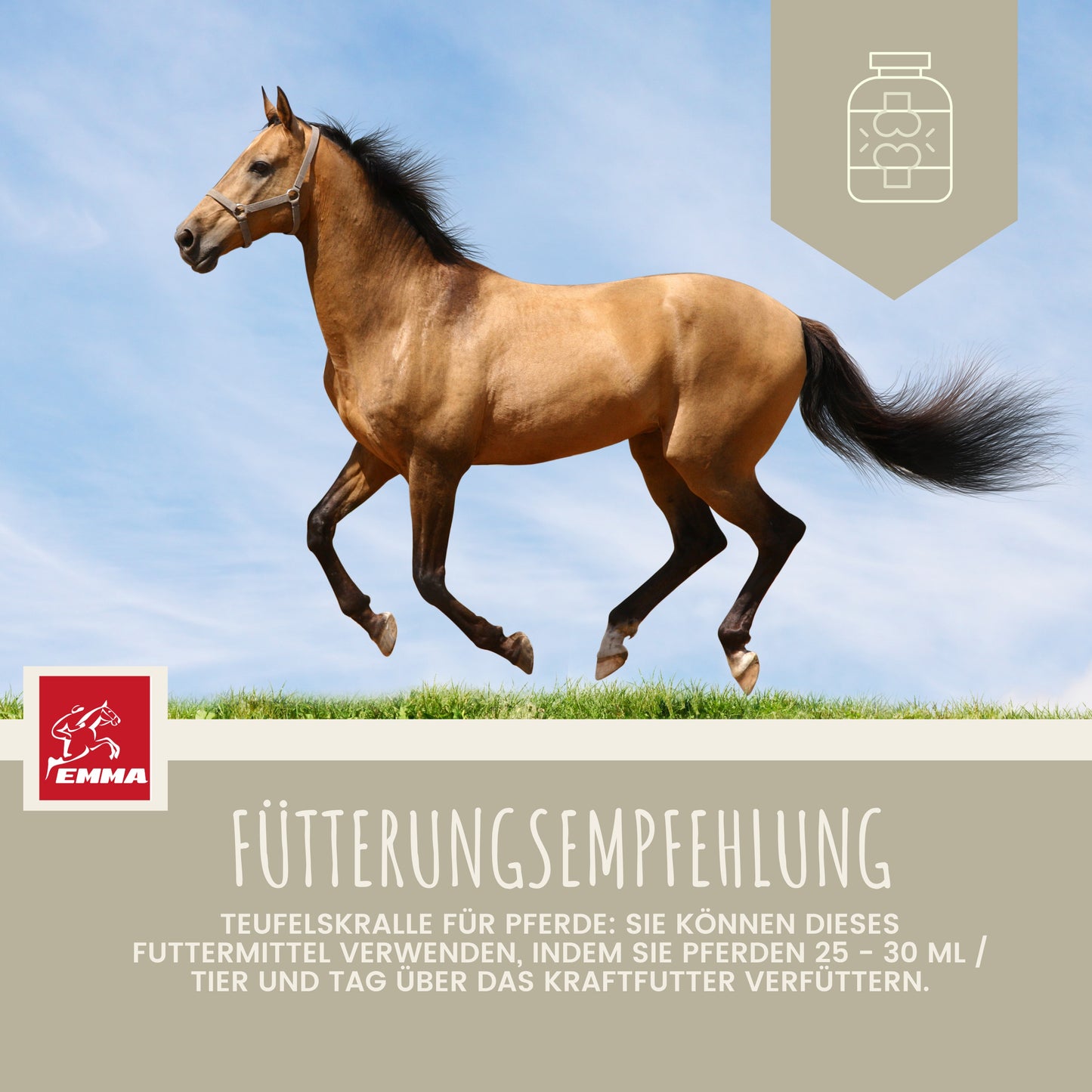 teufelskralle futter arthrose pferd-8.jpg