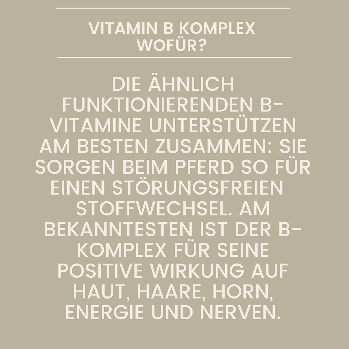 vitamin-b-komplex mineralfutter pferde