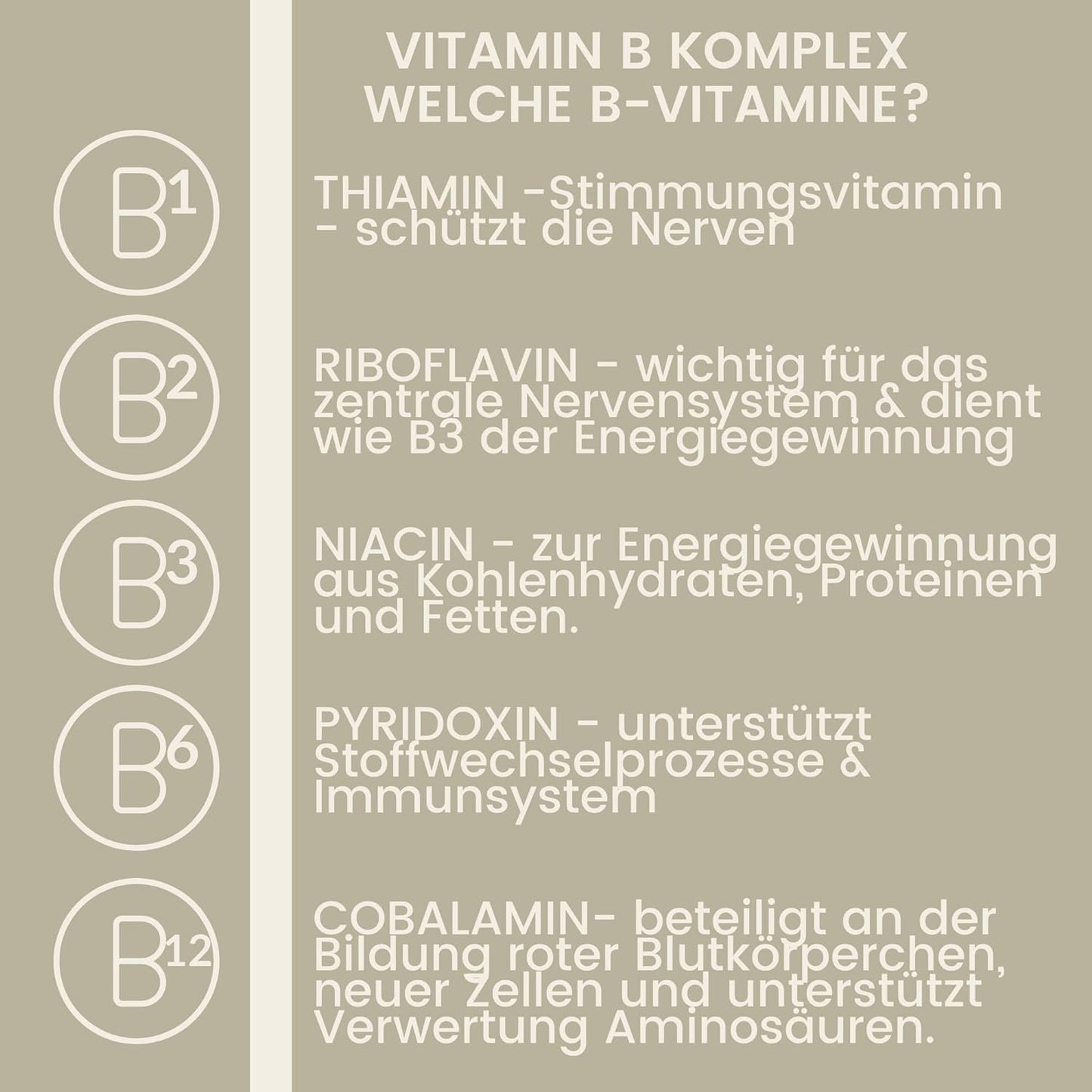 vitamin-b-komplex mineralfutter pferde