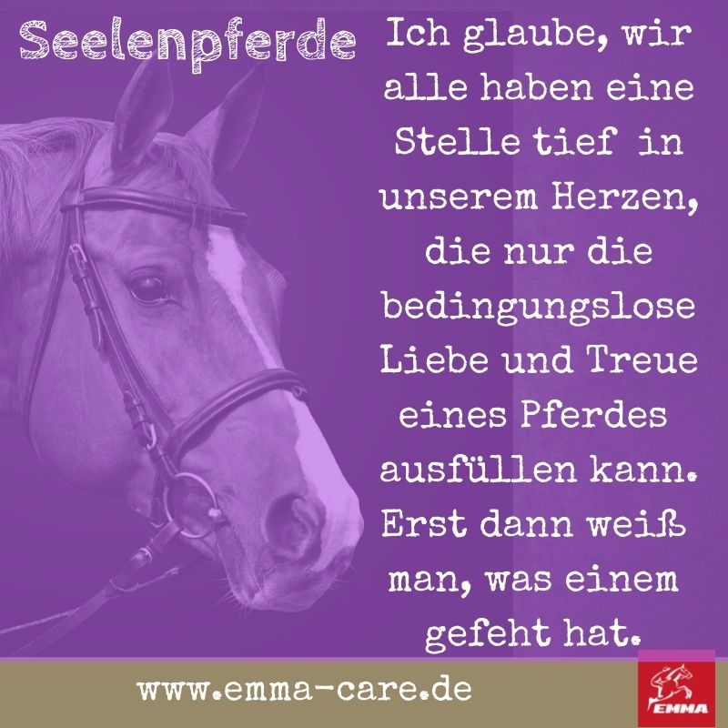 beste-pferdespru-che-auf-www-emma-care-de-12