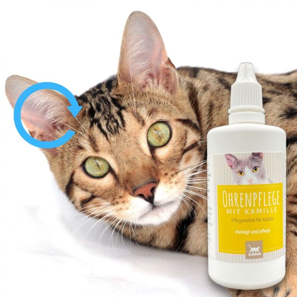 Ohrenpflege ohrentropfen ohrenreiniger katze