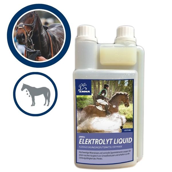 Elektrolyte Füttern Pferd