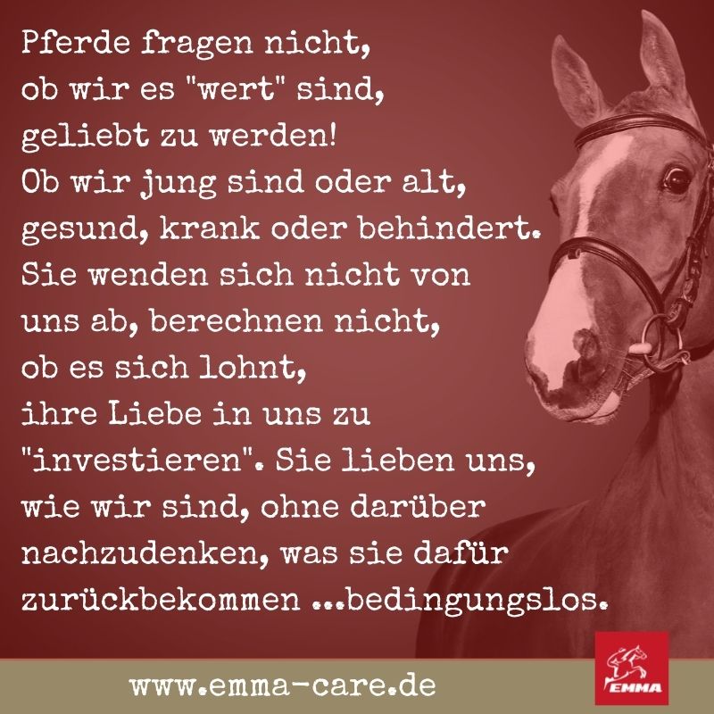 beste-pferdespru-che-auf-www-emma-care-de-11