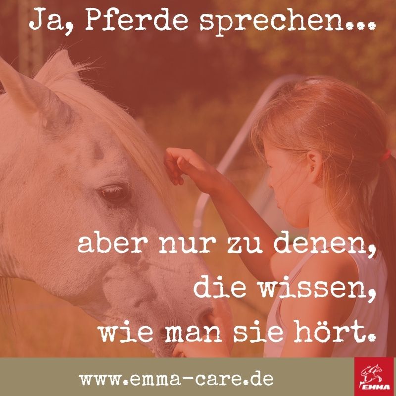 beste-pferdespru-che-auf-www-emma-care-de-8