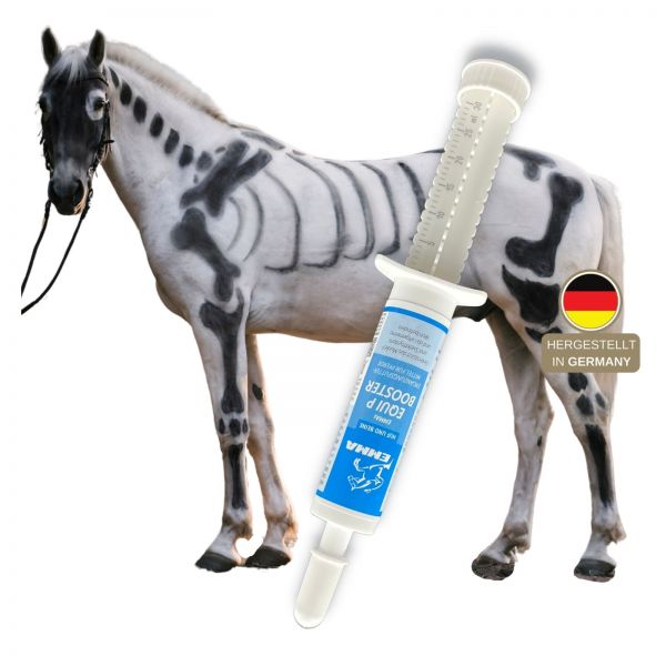 MSM Weidenrinde Gelenk-Paste Pferd 1St