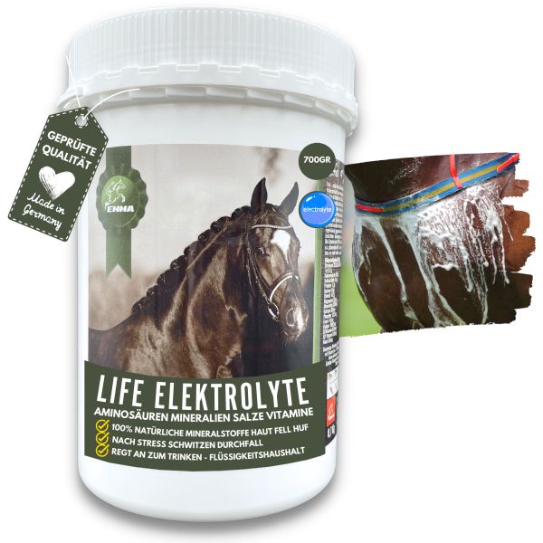 Elektrolyte & Mineralien Pferd, Energie & Gesundheit für`s Pferd, Ergänzungsfutter 700g
