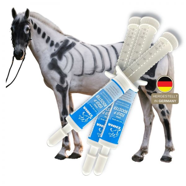 MSM Weidenrinde Gelenk-Paste Pferd 3St