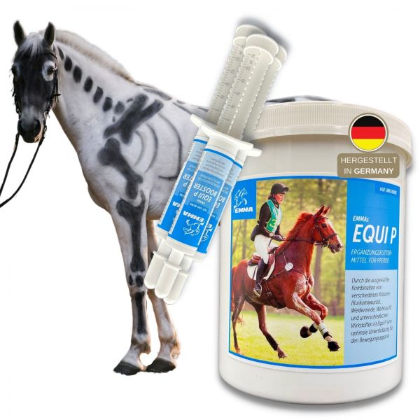 MSM Glucosamin Weidenrinde Gelenk-Pulver Pferd 750gr 3ST