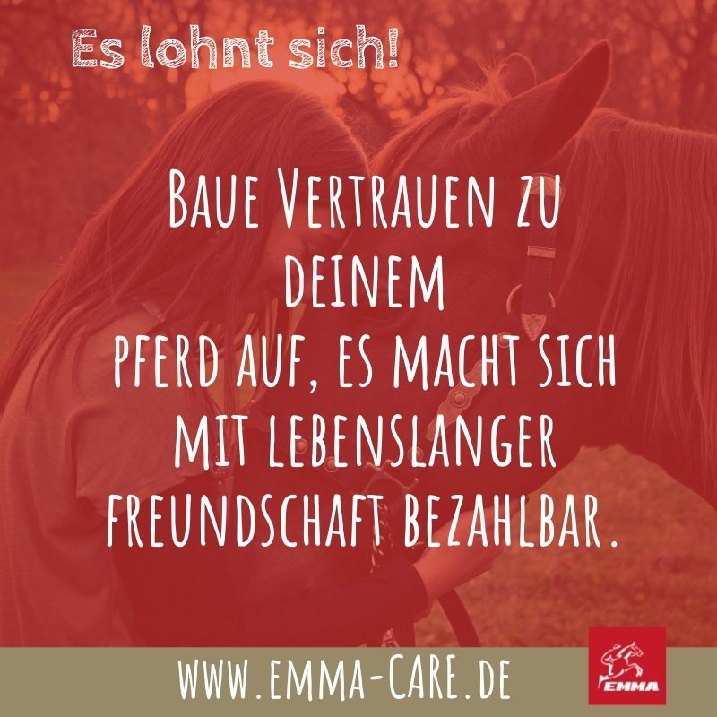 beste-pferdespru-che-auf-www-emma-care-de-17