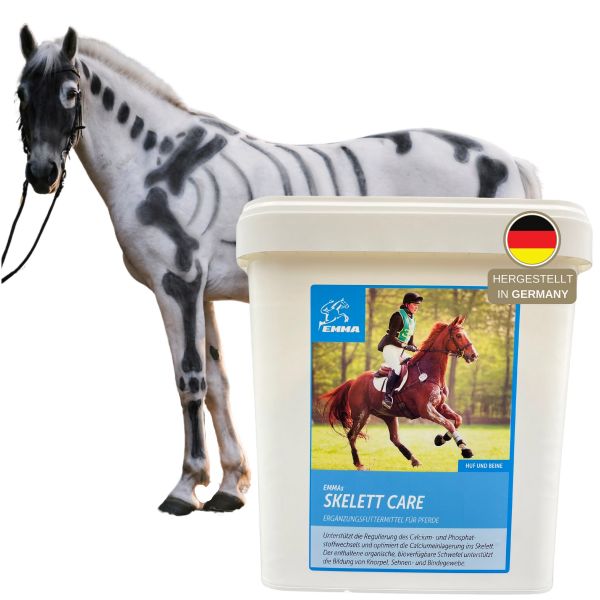 MSM Calcium Gelenk-Pulver Pferd 3Kg